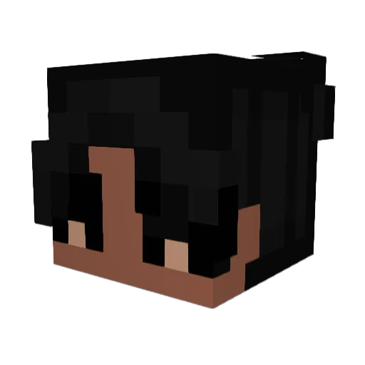 SOCIETYCANTFLY Minecraft avatar head, 3D render