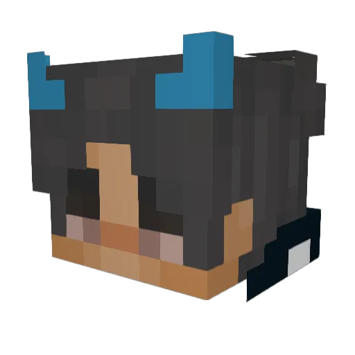 SODAGUU Minecraft avatar head, 3D render