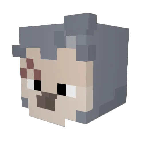 SODFI Minecraft avatar head, 3D render