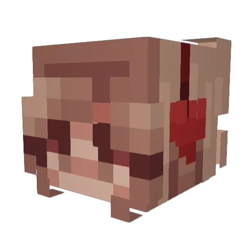 SOFIA2010_ Minecraft avatar head, 3D render