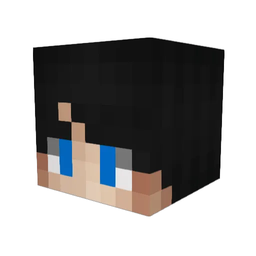 SOFTKETCHUP Minecraft avatar head, 3D render