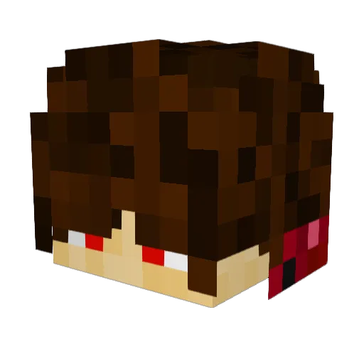 SOFV347 Minecraft avatar head, 3D render