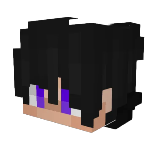 SOINHOGM Minecraft avatar head, 3D render