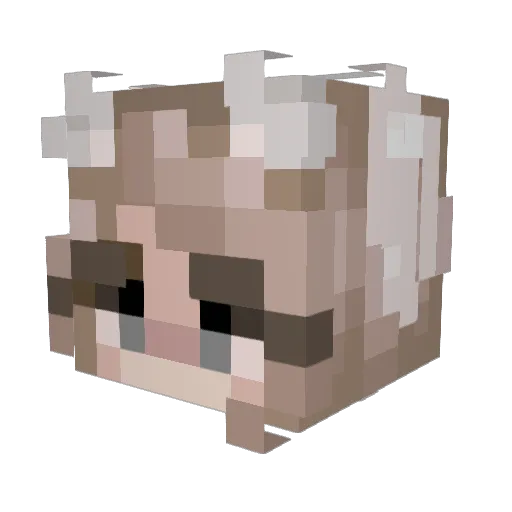 SOKOL16000 Minecraft avatar head, 3D render
