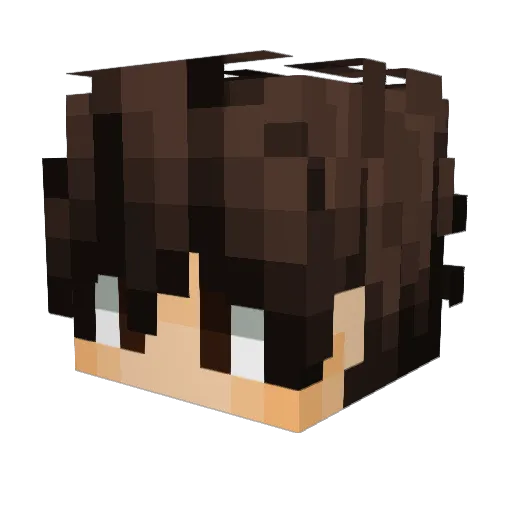 SOL1DUSPR1ME Minecraft avatar head, 3D render