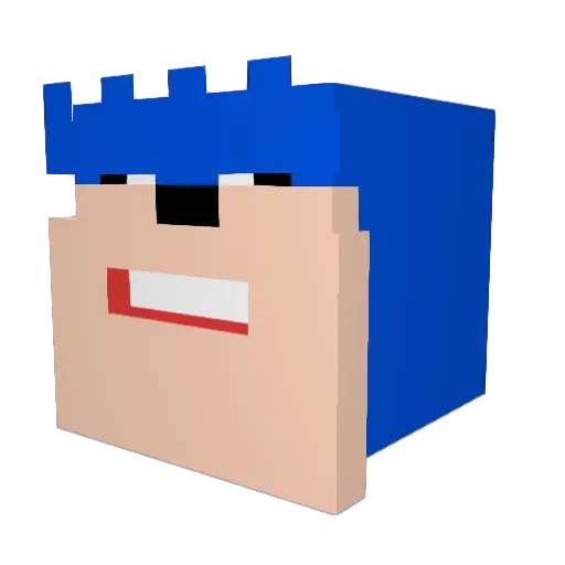 SOLAGREN Minecraft avatar head, 3D render
