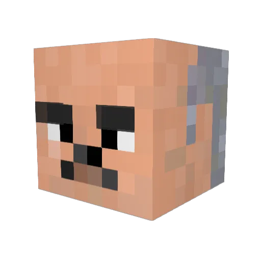 SOLARID Minecraft avatar head, 3D render