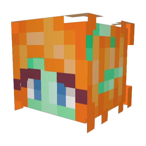 SOLARstar888 Minecraft avatar head, 3D render