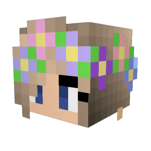 SOLIDSOLE339704 Minecraft avatar head, 3D render