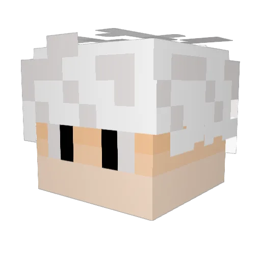 SOLOMON4566 Minecraft avatar head, 3D render