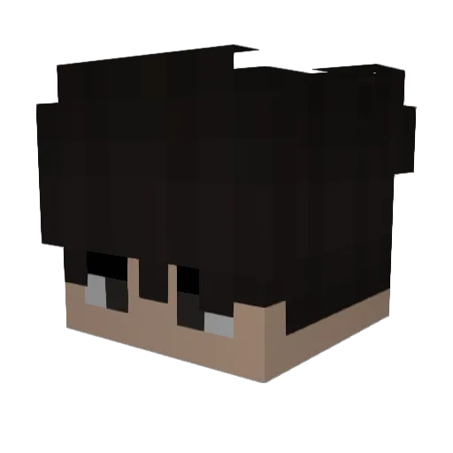 SOLUMBUS1O2BOYZ Minecraft avatar head, 3D render