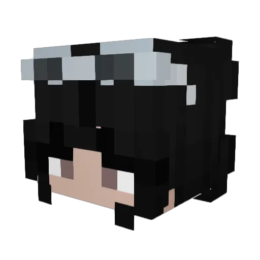 SOMECELERY79624 Minecraft avatar head, 3D render