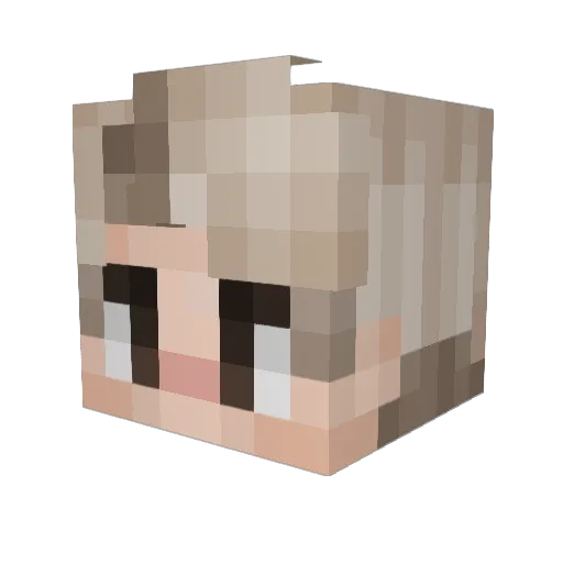 SONICWOLF9 Minecraft avatar head, 3D render