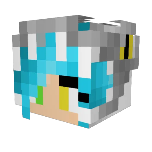 SONIC_FEDORA Minecraft avatar head, 3D render