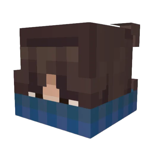 SON_OF_COUL Minecraft avatar head, 3D render