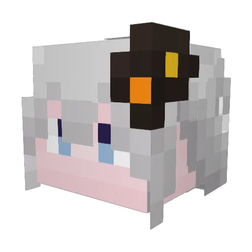 SONchamp Minecraft avatar head, 3D render