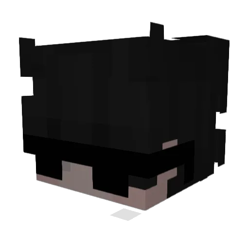 SOPA_63 Minecraft avatar head, 3D render