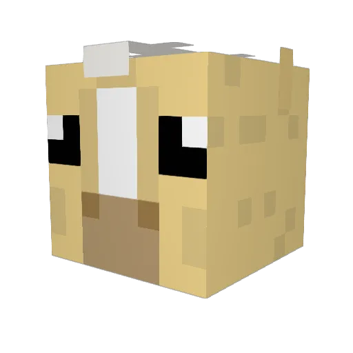 SOPERMAN77 Minecraft avatar head, 3D render