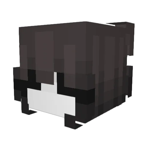 SOSISKA556677 Minecraft avatar head, 3D render