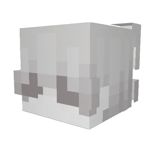 SOULMATE123569 Minecraft avatar head, 3D render
