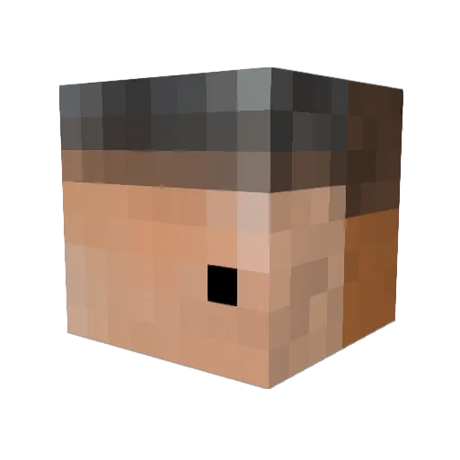 SOUL_HAVEN Minecraft avatar head, 3D render