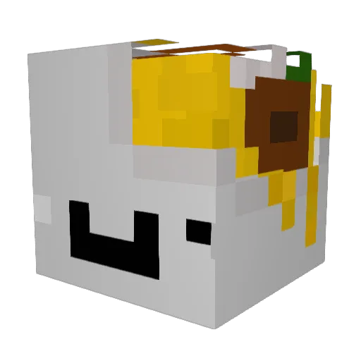 SOUP_0ut4g3 Minecraft avatar head, 3D render