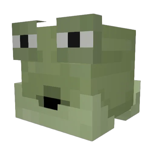 SOUP_SOUP Minecraft avatar head, 3D render