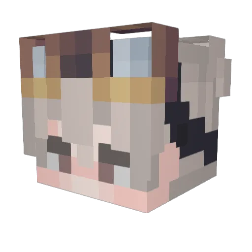 SOW_ER Minecraft avatar head, 3D render