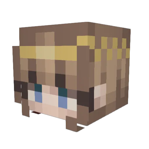 SOXANATOR5000 Minecraft avatar head, 3D render