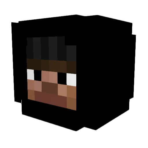 SOXNSANDALS Minecraft avatar head, 3D render
