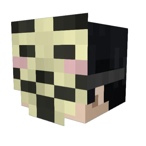 SOYDTR Minecraft avatar head, 3D render