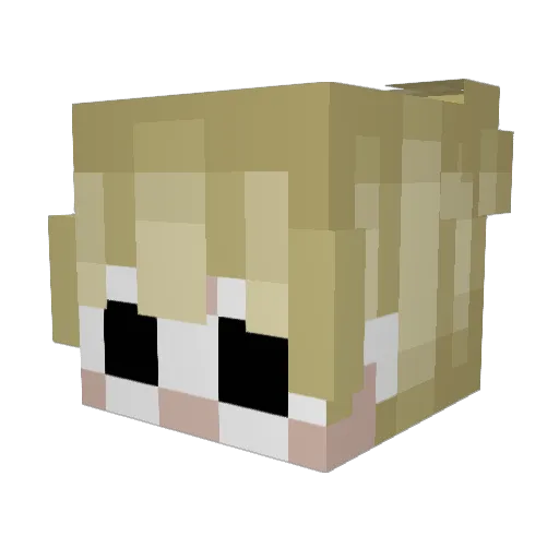 SOY_TechnoJIF Minecraft avatar head, 3D render