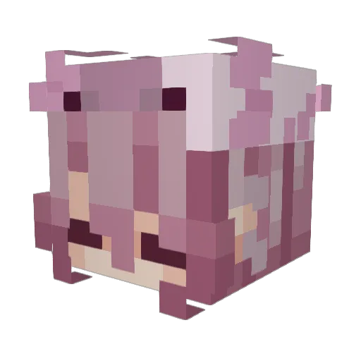 SOmeONE_ORI Minecraft avatar head, 3D render