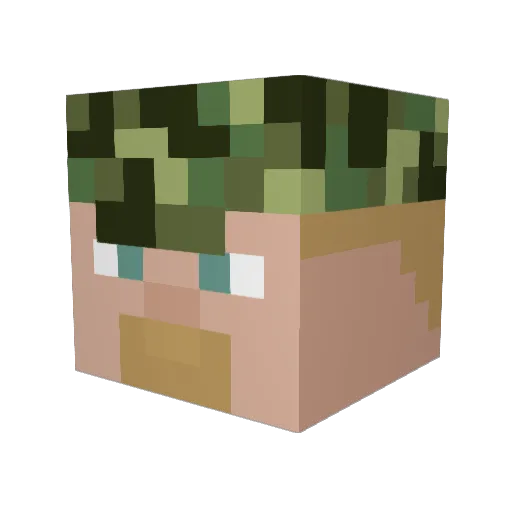 SP24699 Minecraft avatar head, 3D render
