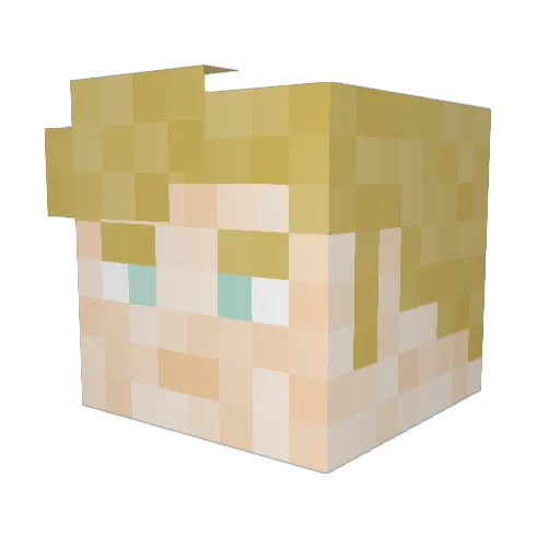SP4C3__ Minecraft avatar head, 3D render