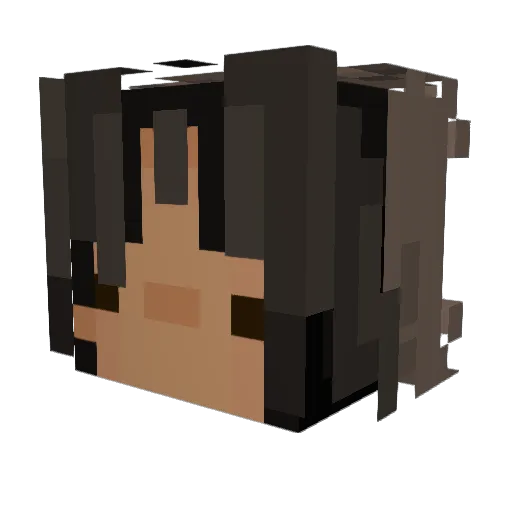 SP4CE1NV4DER Minecraft avatar head, 3D render