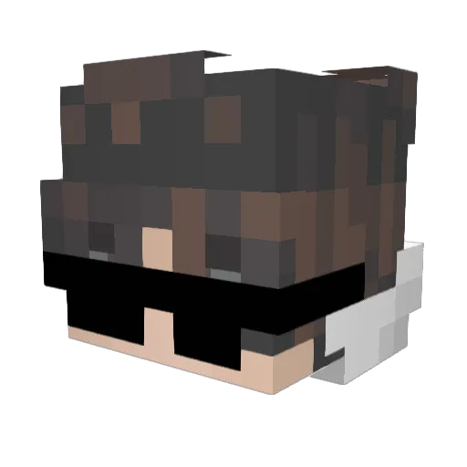 SP4RKxp Minecraft avatar head, 3D render