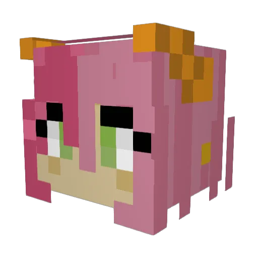 SPACEPIG55 Minecraft avatar head, 3D render