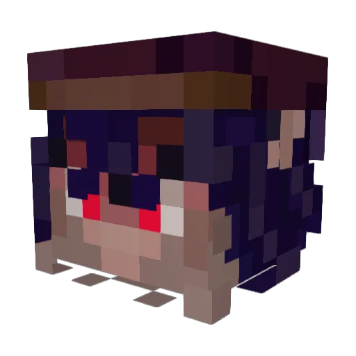 SPANKYDOODLEZ Minecraft avatar head, 3D render