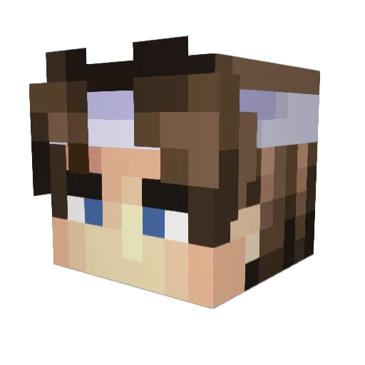 SPARR0W_999 Minecraft avatar head, 3D render