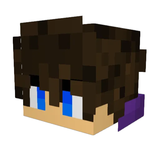 SPAZZY_PLATYPUS Minecraft avatar head, 3D render