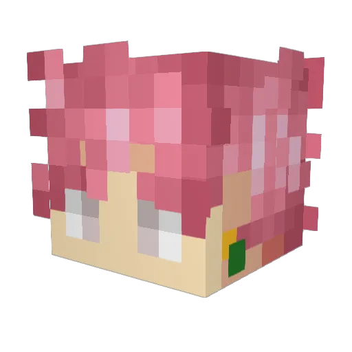 SPEEDGOD334 Minecraft avatar head, 3D render