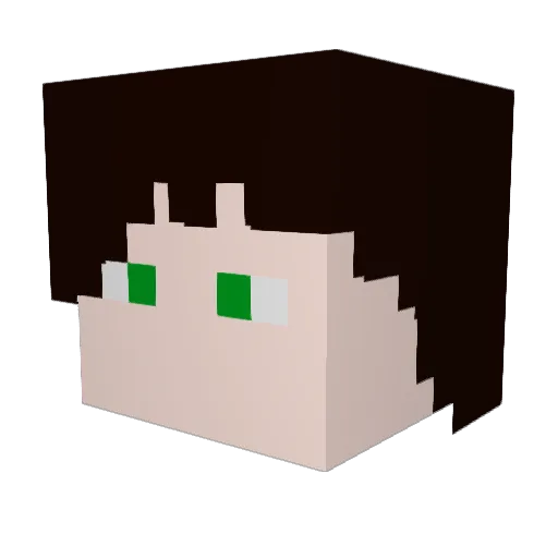 SPEED_LM Minecraft avatar head, 3D render