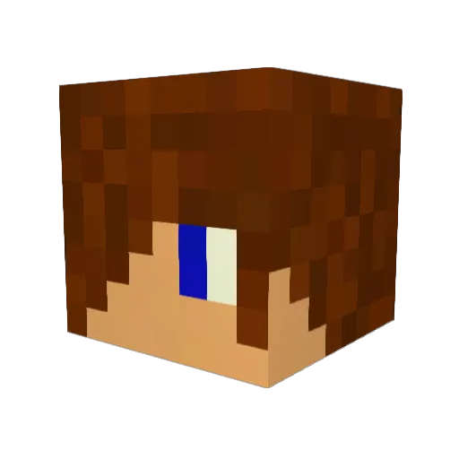 SPH0 Minecraft avatar head, 3D render