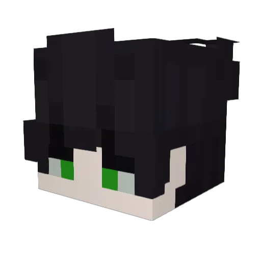 SPLIT10 Minecraft avatar head, 3D render
