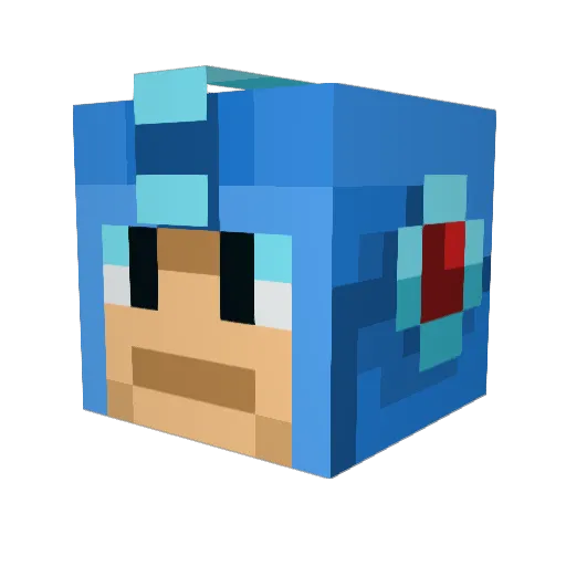 SPONGEDUCKY Minecraft avatar head, 3D render