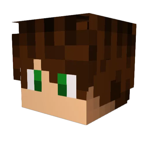 SPSOY Minecraft avatar head, 3D render