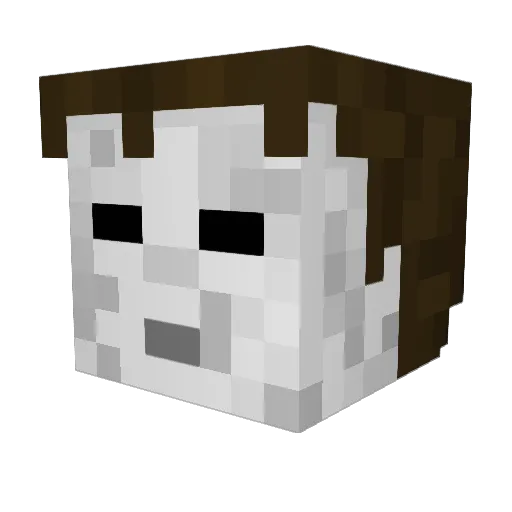 SPYROF0AM Minecraft avatar head, 3D render
