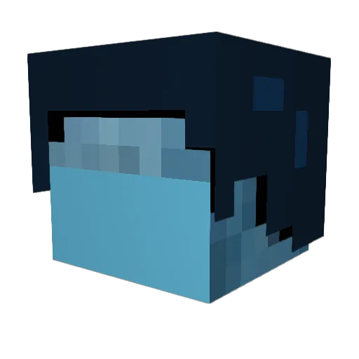 SPY_LOCK Minecraft avatar head, 3D render
