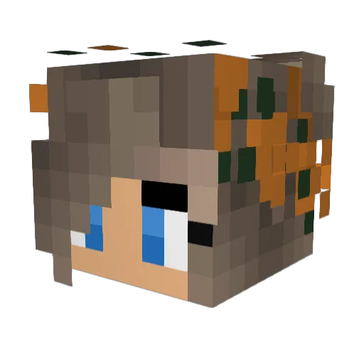 SPaige007 Minecraft avatar head, 3D render